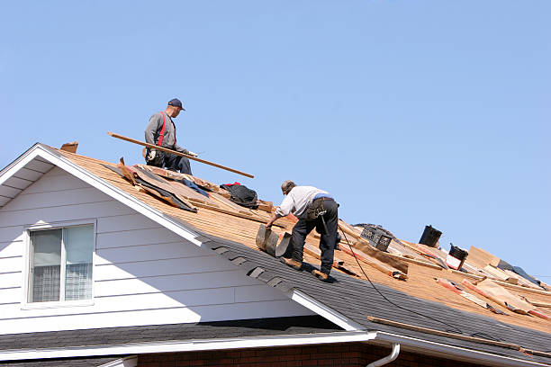 Best Wood Shake Roofing  in Santa Paula, CA
